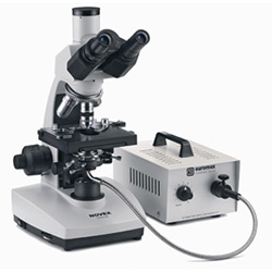 Euromex B-Series Microscopes
