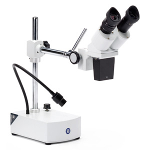 Euromex BE-Series Microscopes
