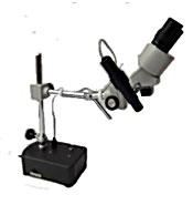 Euromex BE-Series Microscopes Straight binocular head with one diopter adjustment.