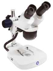 Euromex EduBlue Stereo Microscope Pillar stand Model ED 1302-P