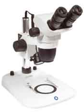 Euromex NexiusZoom Model NZ.1902-P Stereo Microscope