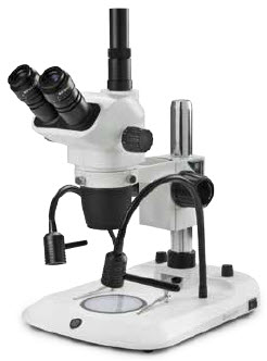 Euromex NexiusZoom Model NZ.1903-PL Stereo Microscope