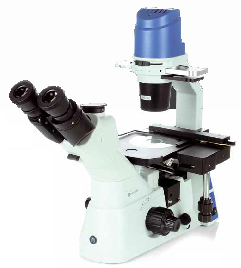 Euromex Oxion Inverso Microscopes