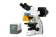 Euromex Oxion Fluorescence Microscopes