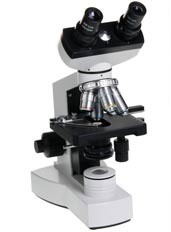Euromex X-Series Microscopes