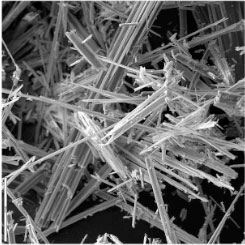 Asbestos Phase Contrast Microscopy
