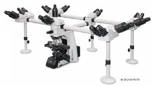 Delphi-X Obersver multi-headed microscopes upto 10 simultaneous users