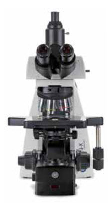 Delphi-X Obersver multi-headed microscopes